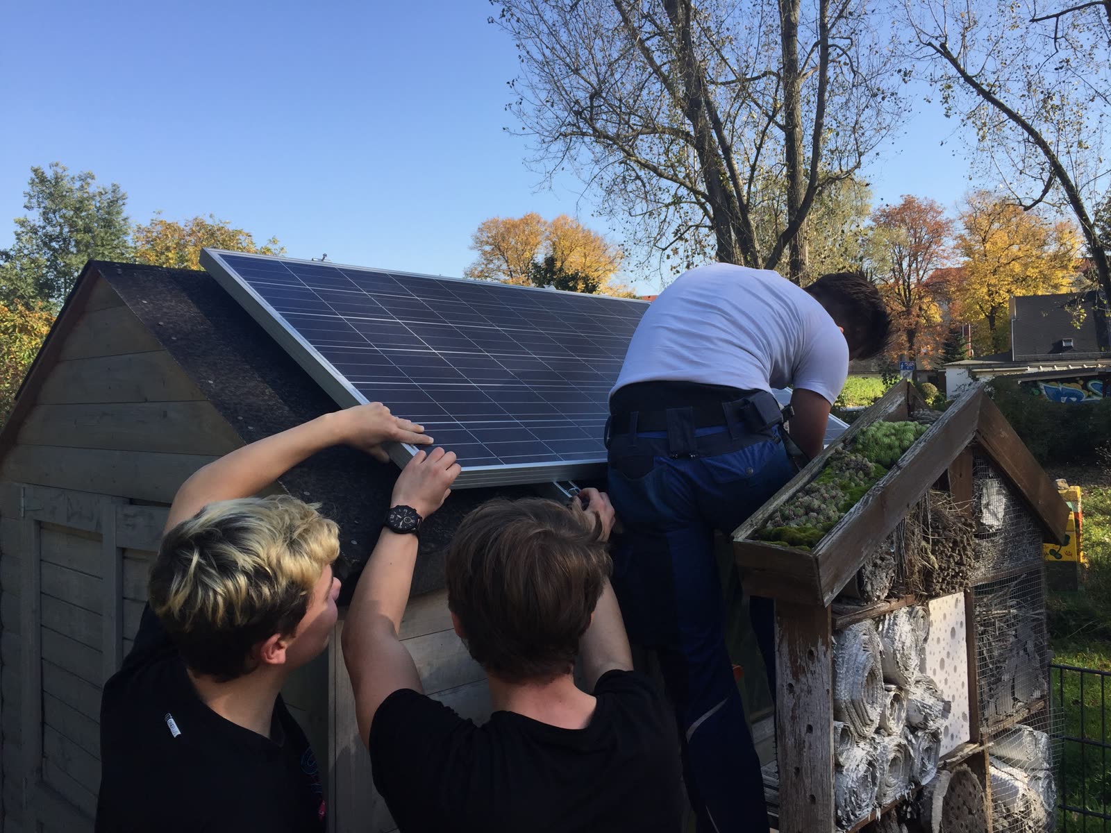 Drei Schüler:innen montieren ein Solarmodul auf dem Dach eines Gartenhäuschens, daneben ein Insektenhotel